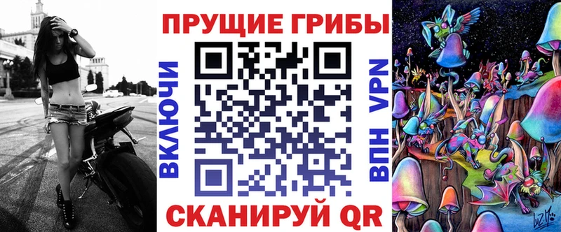 ссылка на мегу как войти  хочу   Бугуруслан  shop Telegram  Псилоцибиновые грибы Cubensis 
