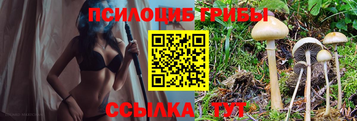 Галлюциногенные грибы ЛСД  Вход с VPN  Бугуруслан 
